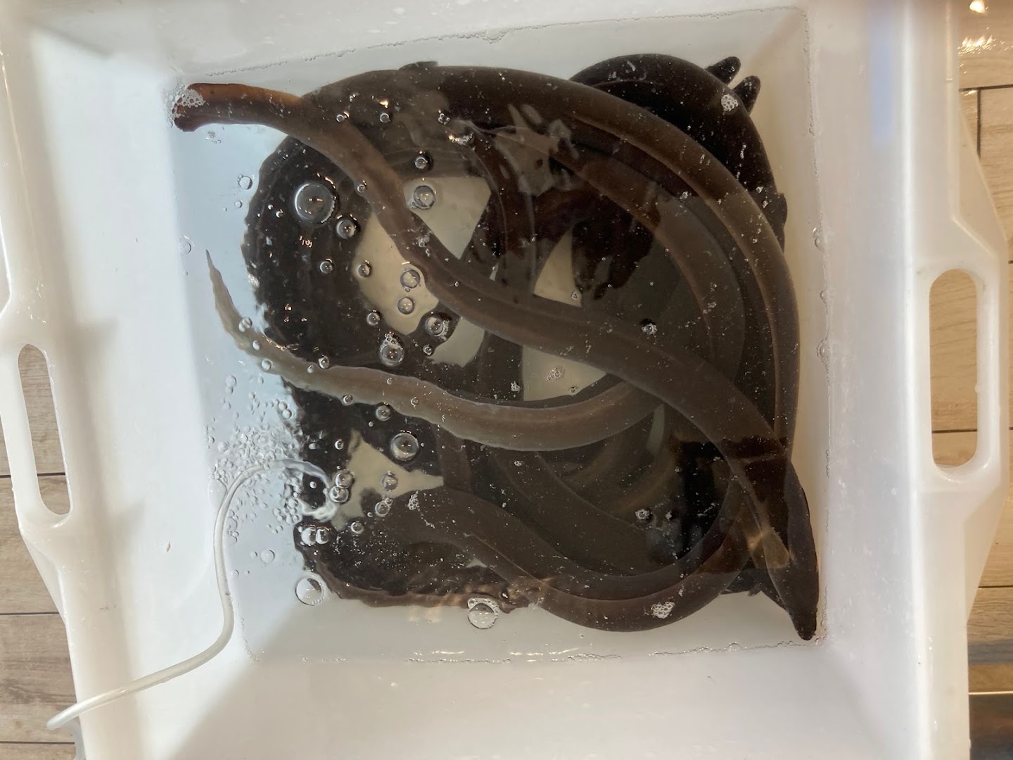 RistoPescheria Il Profumo del Mare