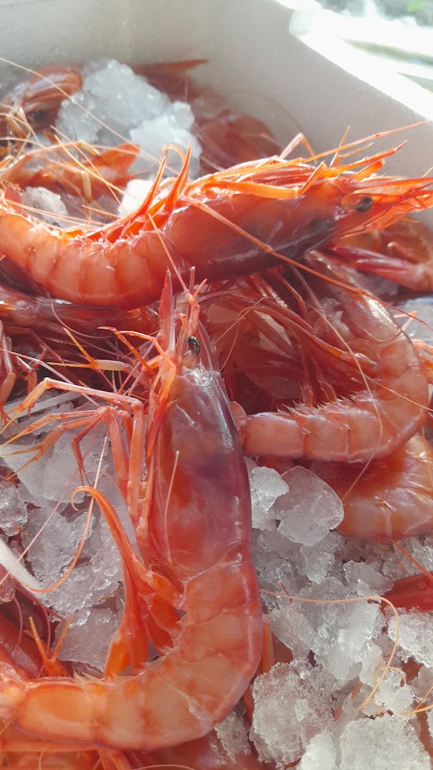 Ristopescheria La conchiglia