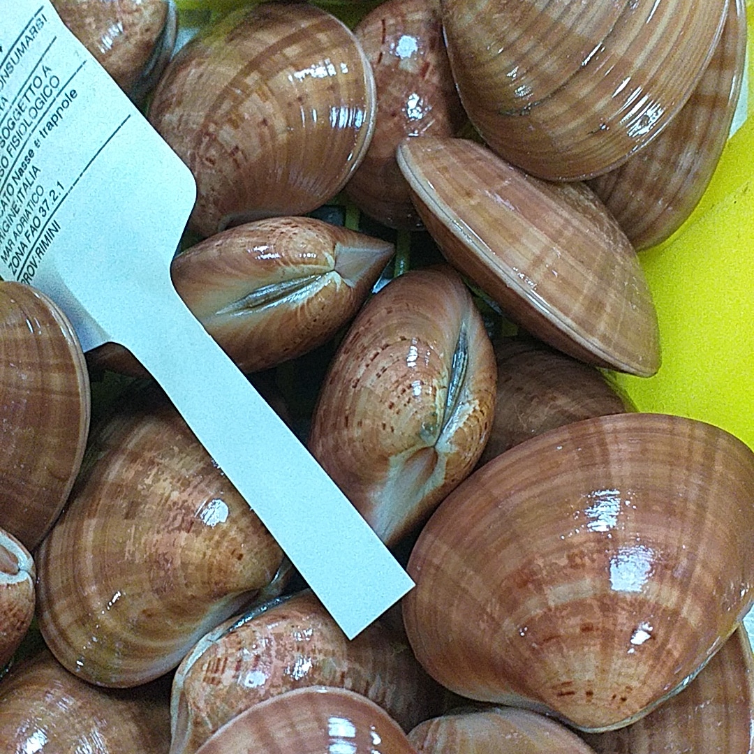 Ristopescheria La conchiglia