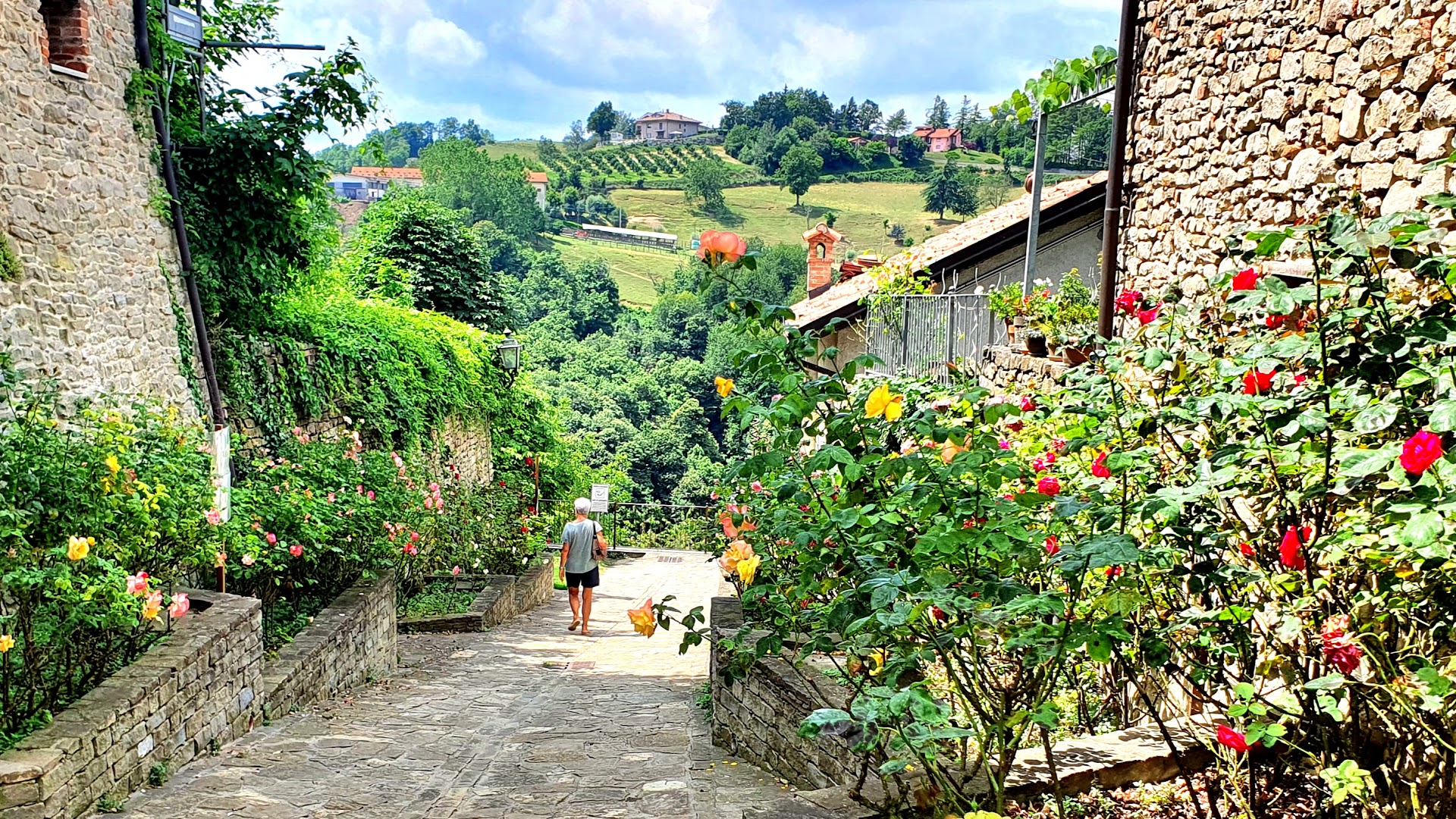 Ristorante al Biancospino - Vineria
