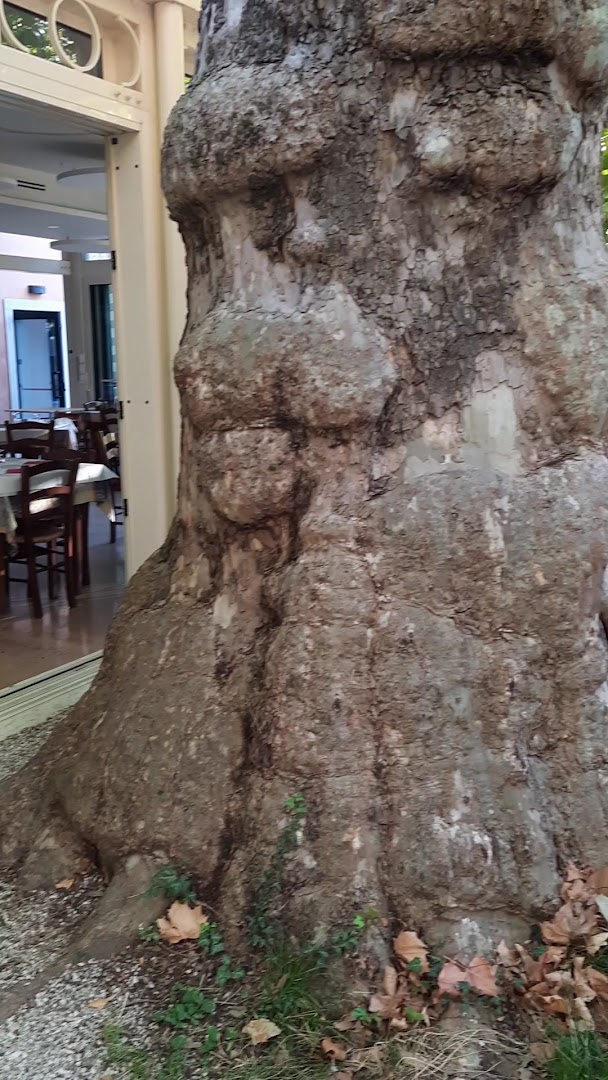 Ristorante Al Platano