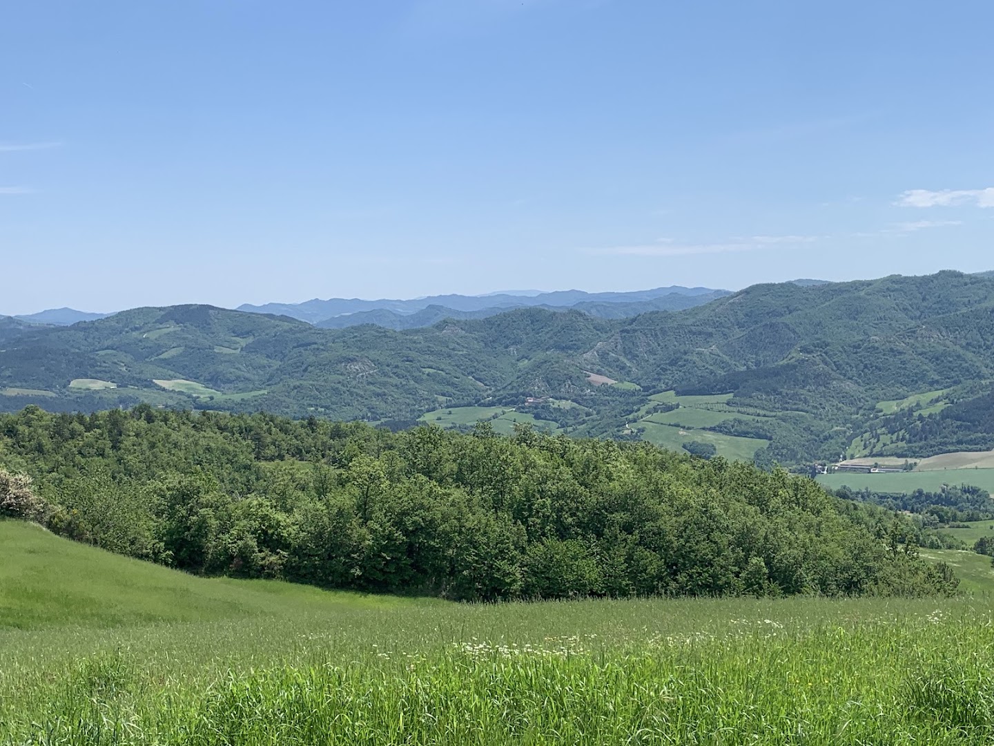 Ristorante Albergo Monte Busca