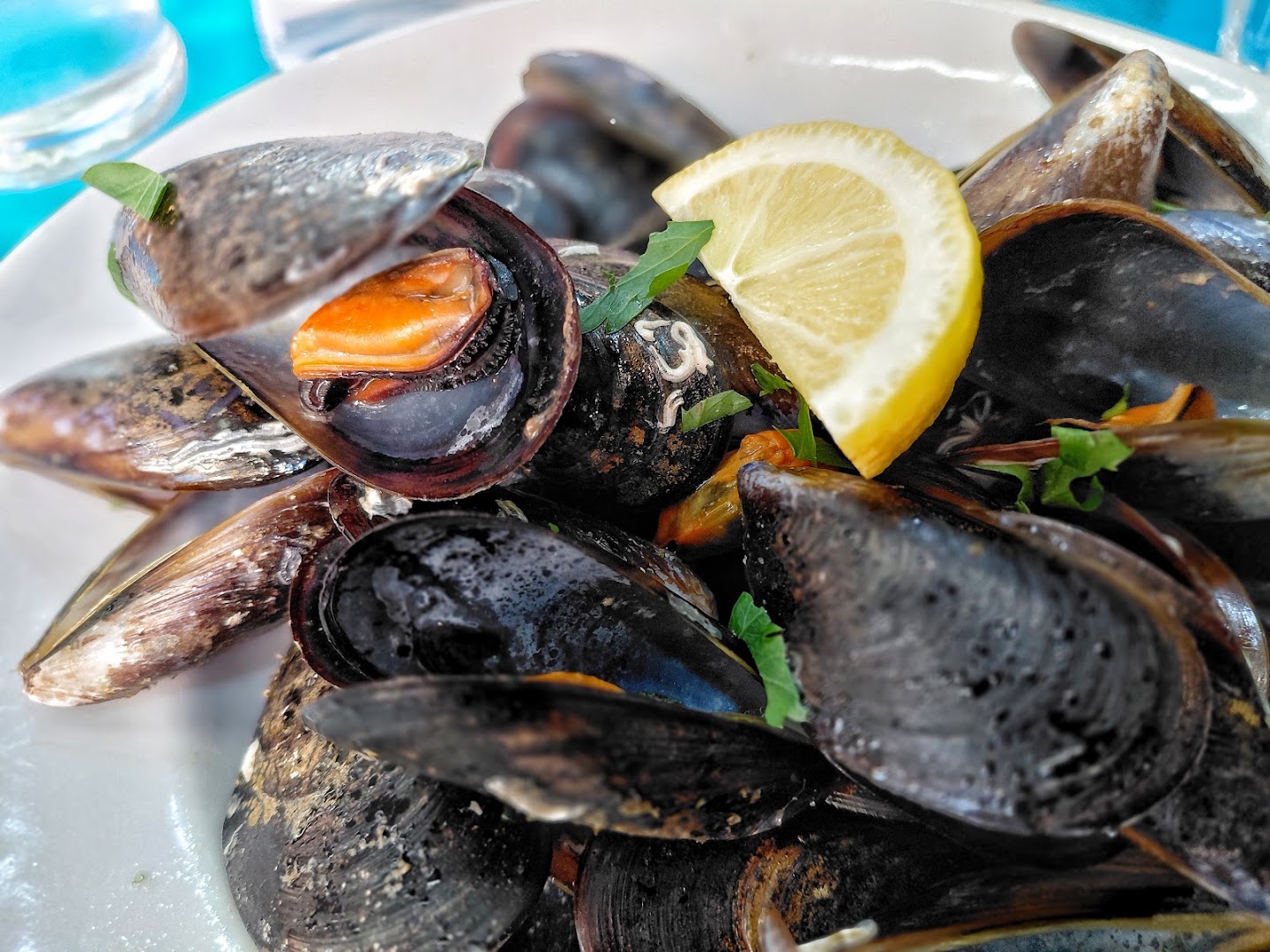 Ristorante Anzio Quattro Venti