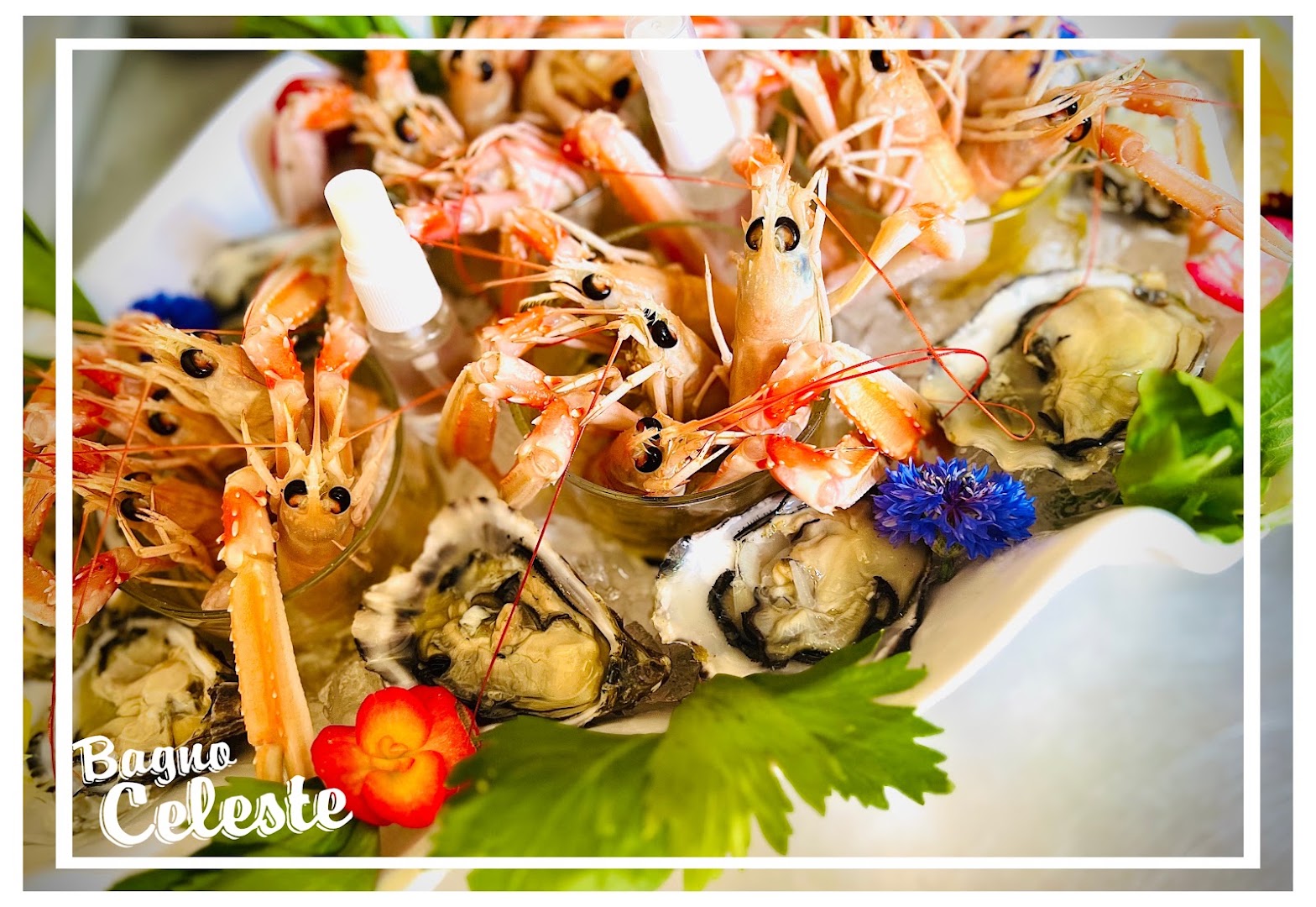 RISTORANTE BAGNO CELESTE