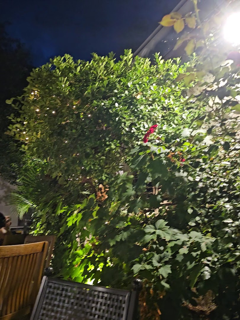 Ristorante Bar castel Kallmünz