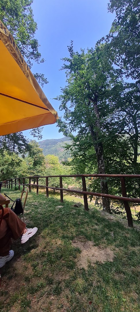 Ristorante Camping Camaldoli