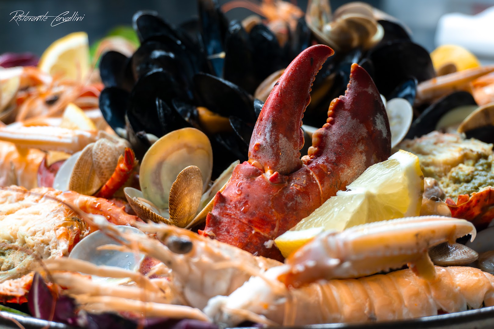 Ristorante Cavallini