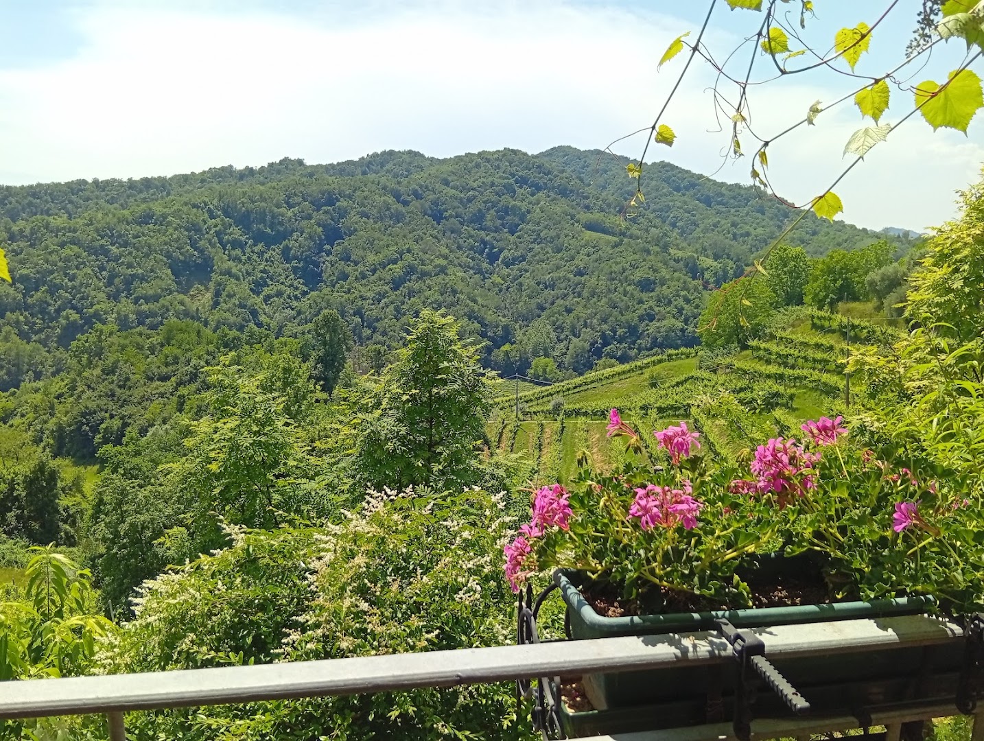 Ristorante Da Brun, Cison di Valmarino