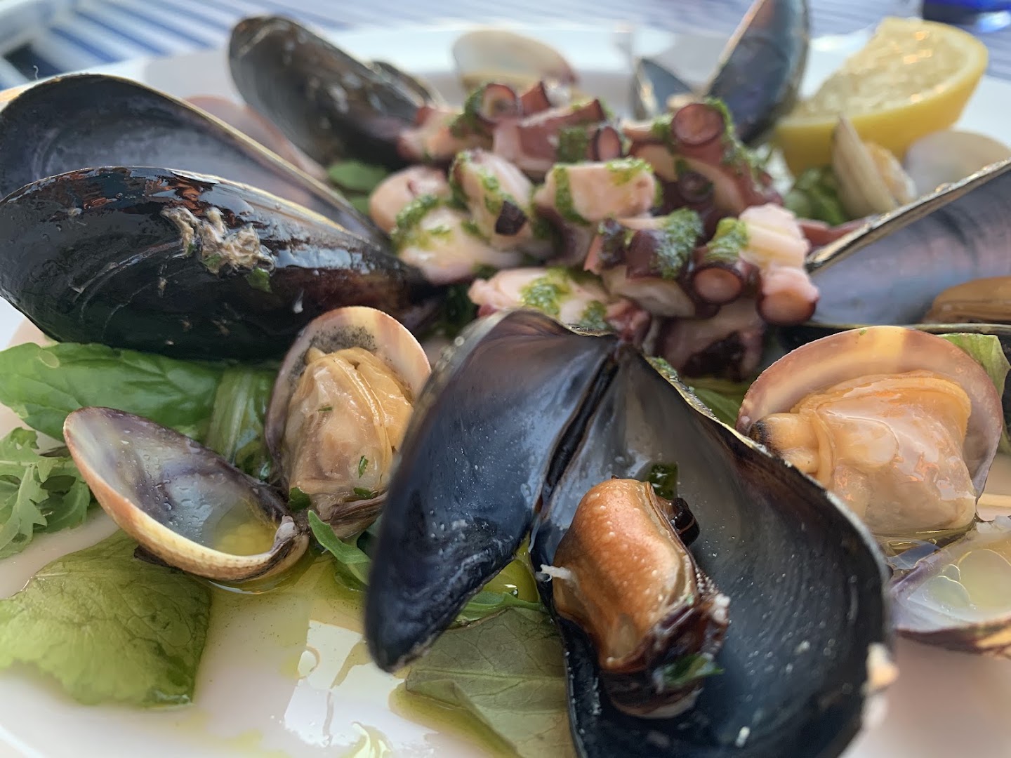 Ristorante di pesce La Bussola Portoferraio ISOLA D'ELBA - Ristorante con specialità di pesce Portoferraio - Pesce fresco