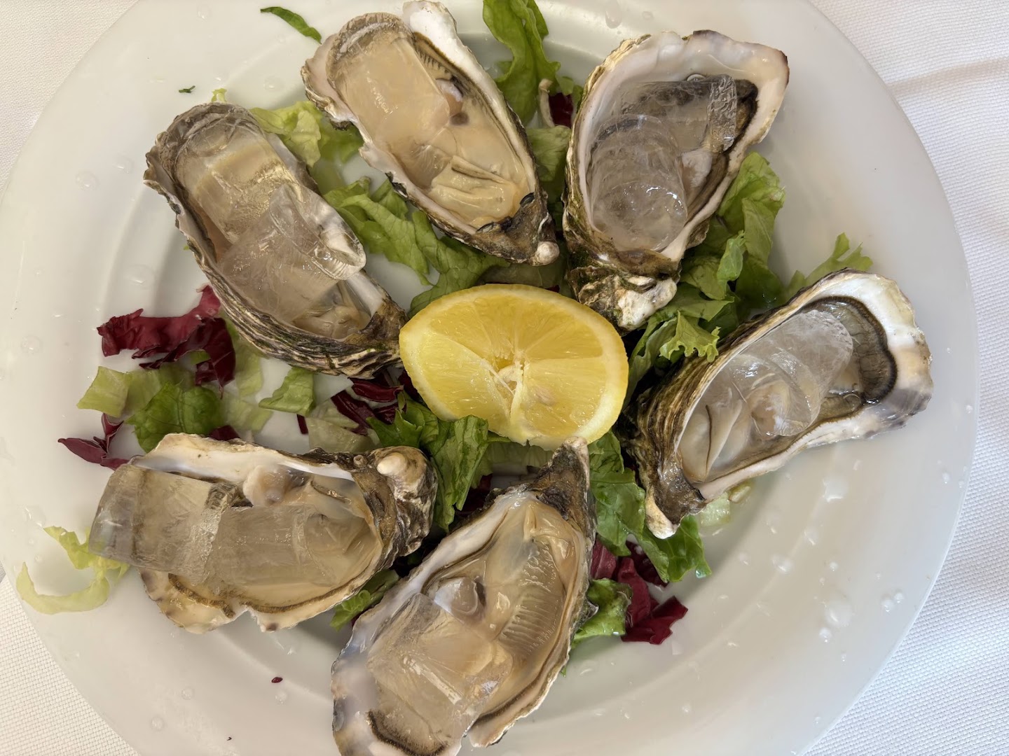 Ristorante Dicì
