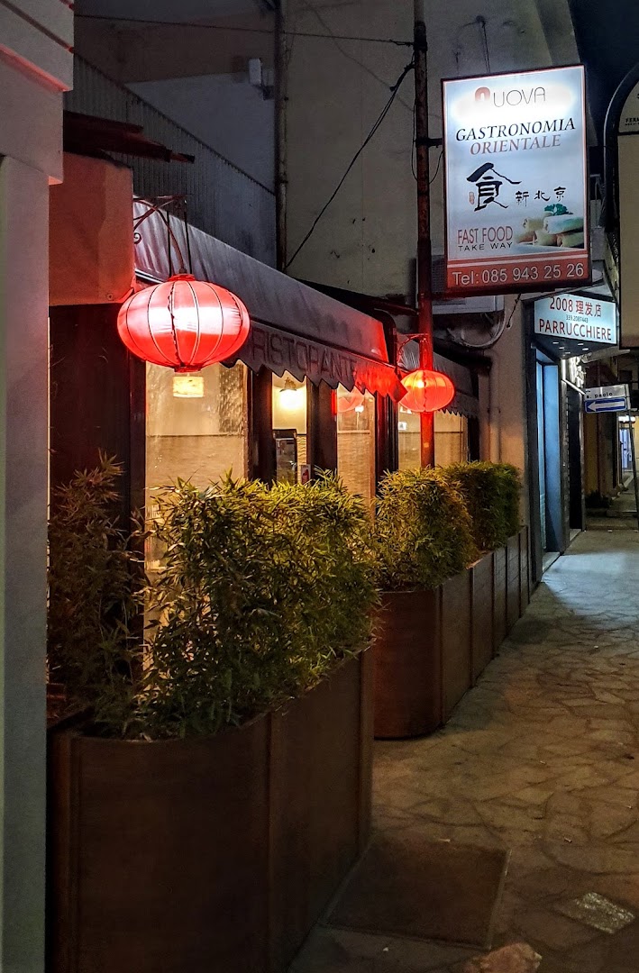 Ristorante e gastronomia orientale Nuova Pechino