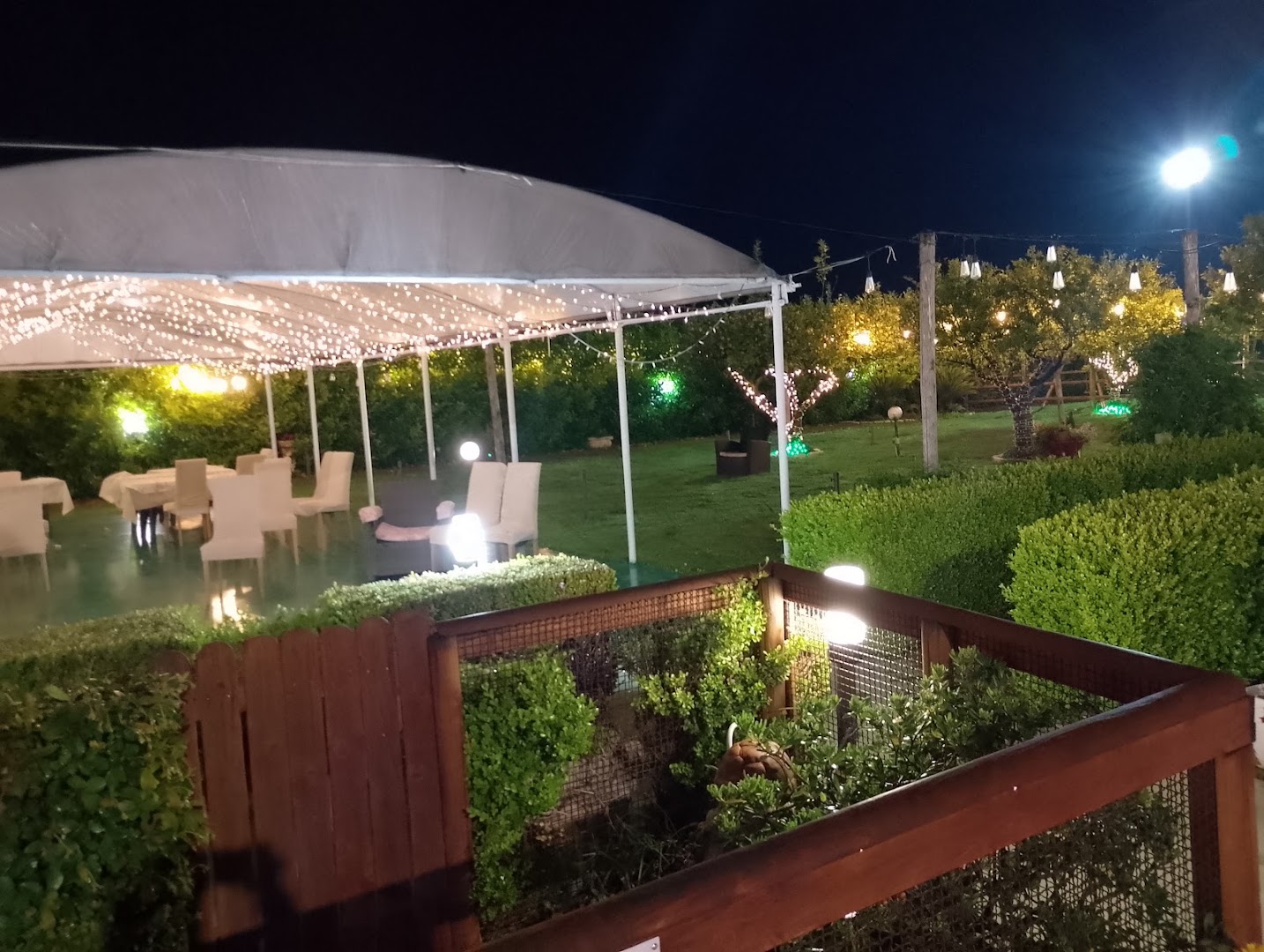 Ristorante e Pizzeria Red and Black