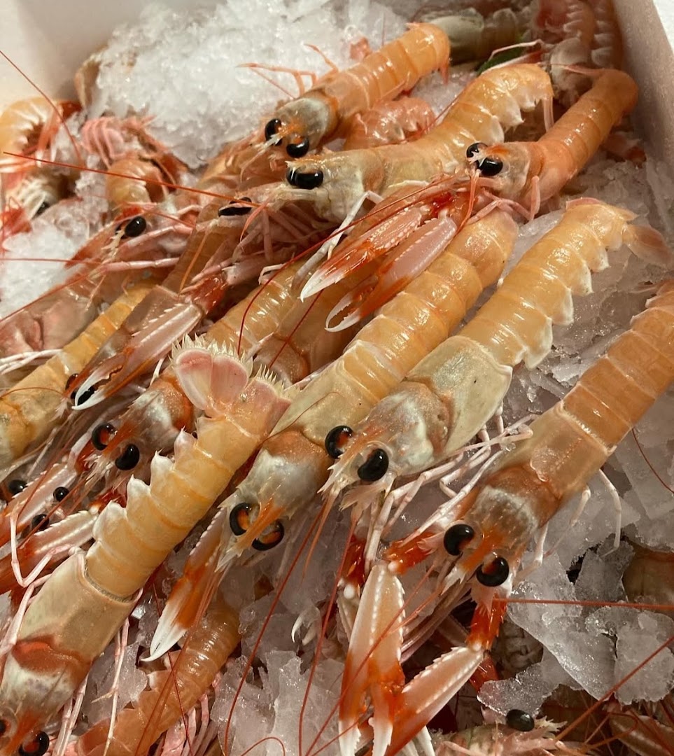 Ristorante Filo Rosso