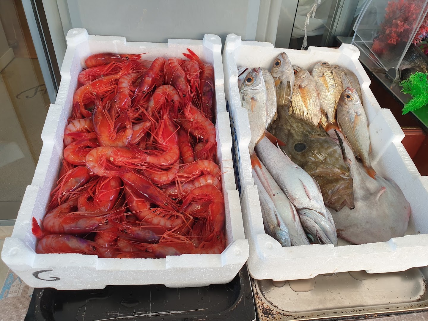 Ristorante Flipper, Sanremo