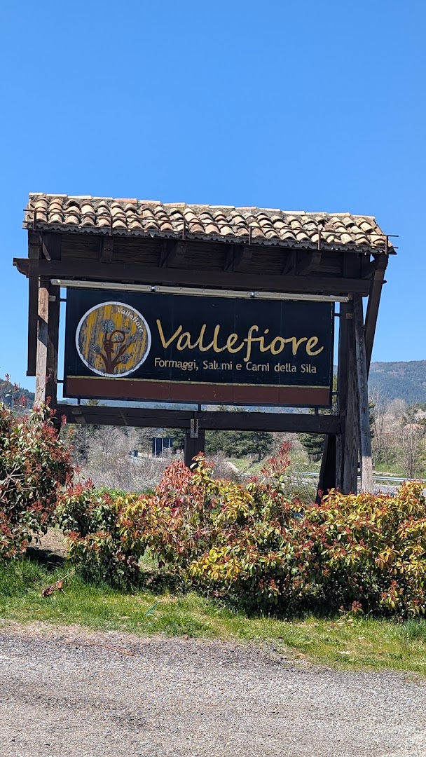 RISTORANTE GRIGLIERIA VALLEFIORE