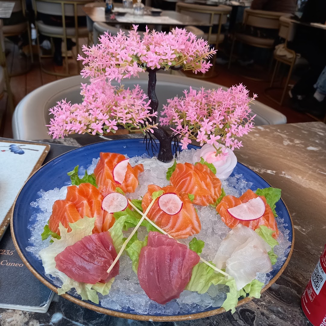 Ristorante Ichi, Cuneo