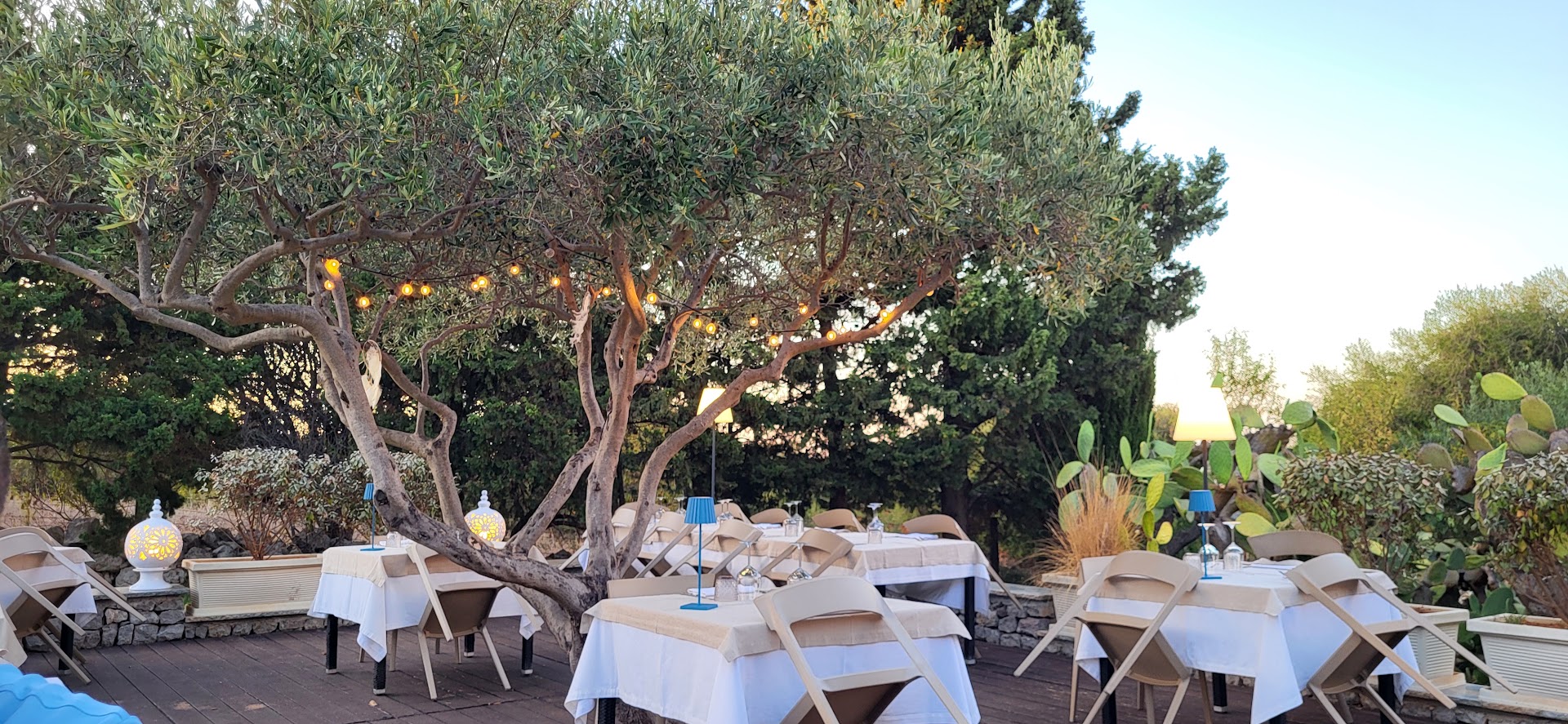 Ristorante Il Ficodindia, Polignano a Mare
