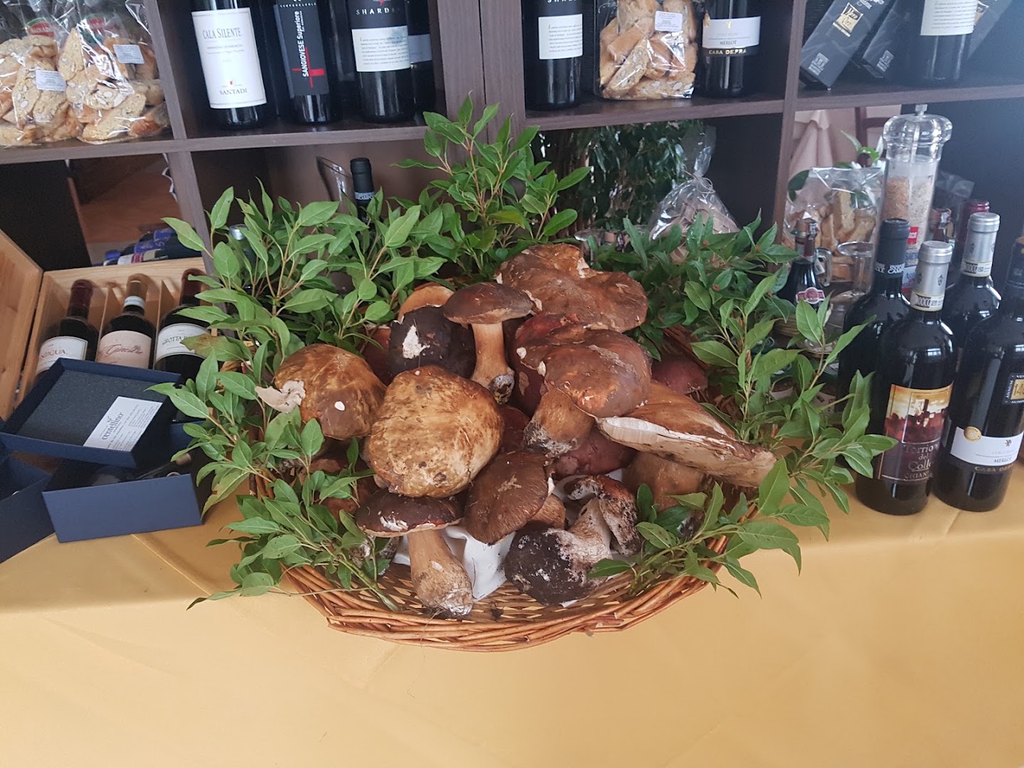 Ristorante IL FUNGO