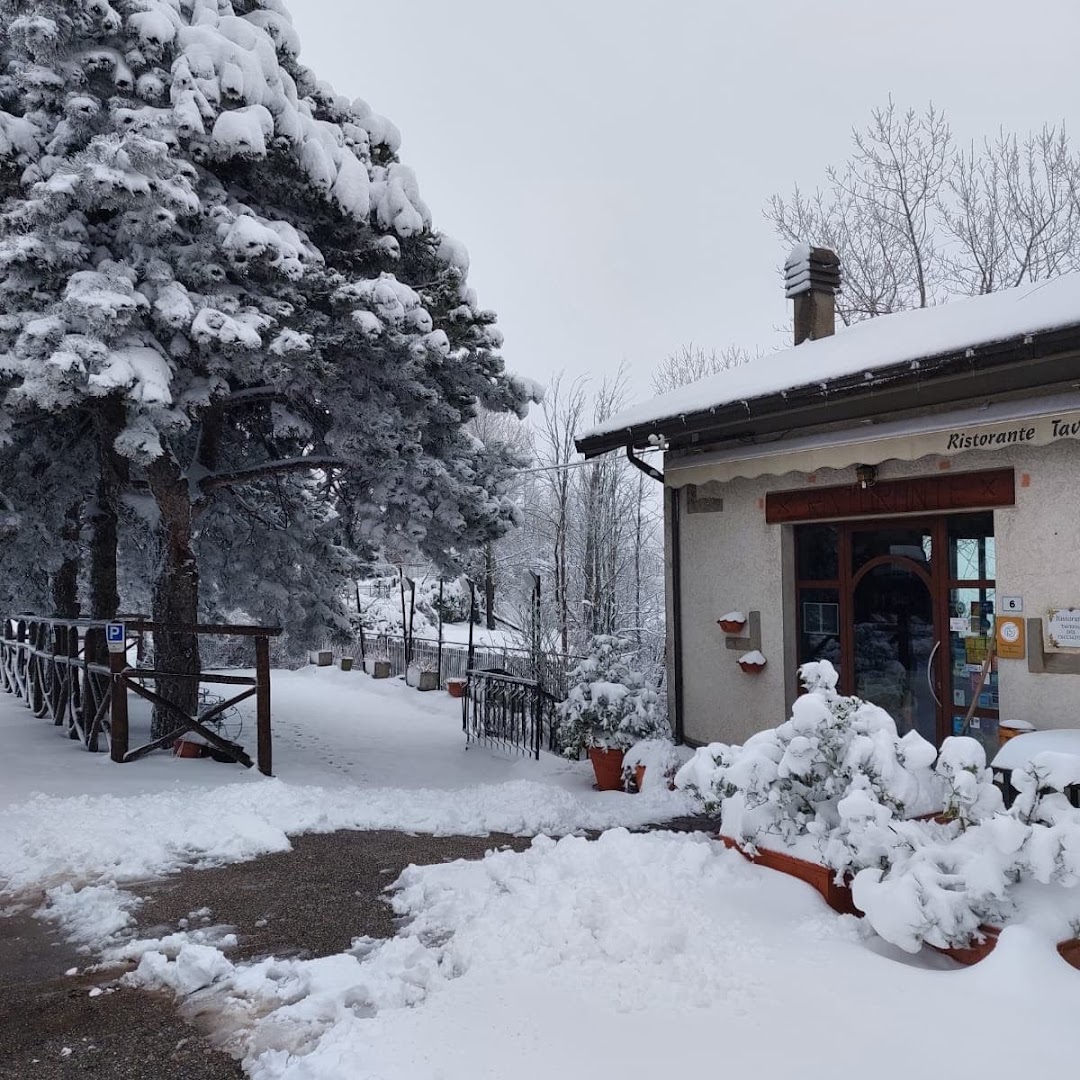 Ristorante IL FUNGO