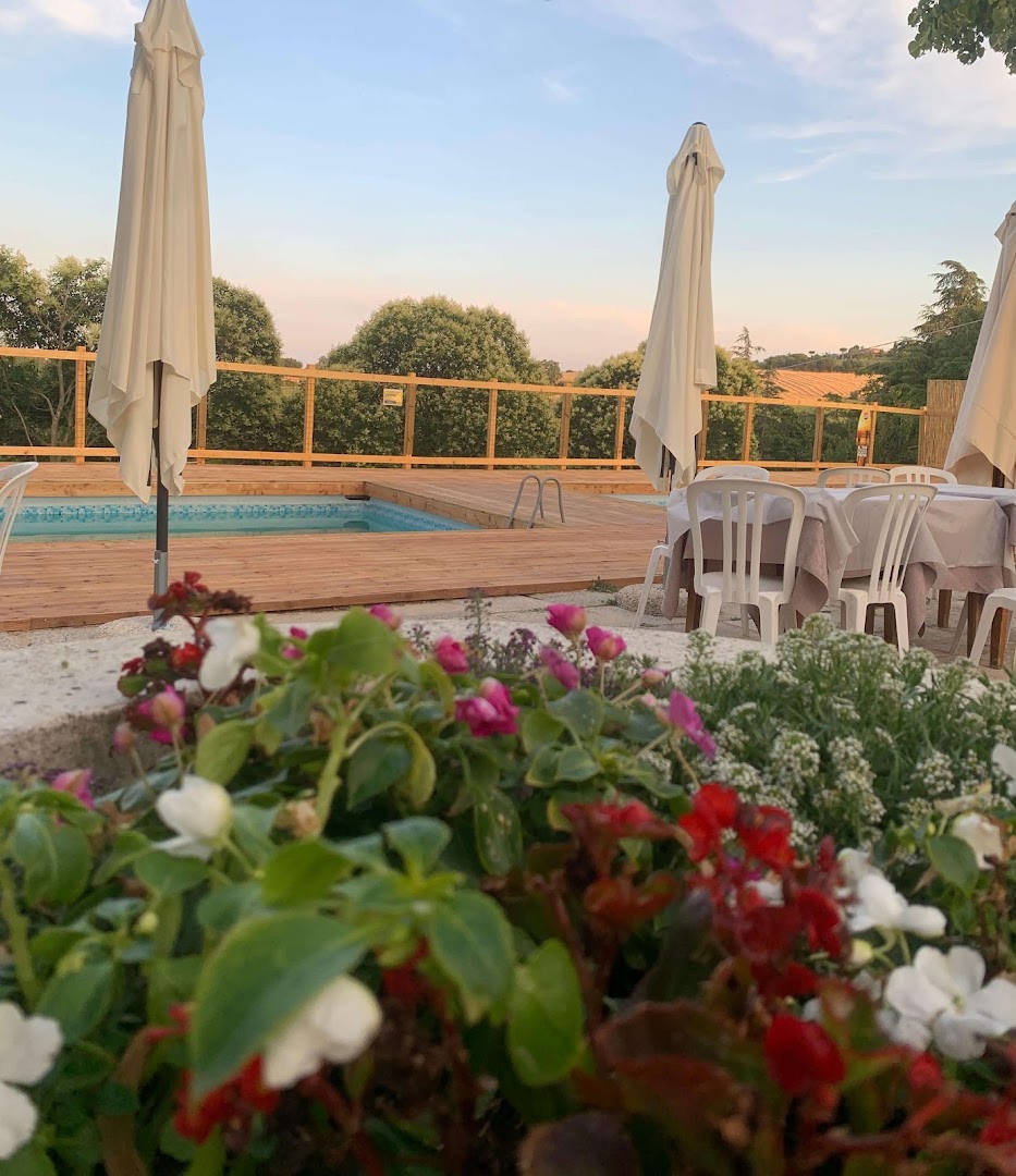 Ristorante Il Grillo Bianco 2