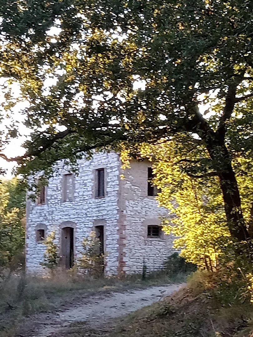 Ristorante Il Padiglione