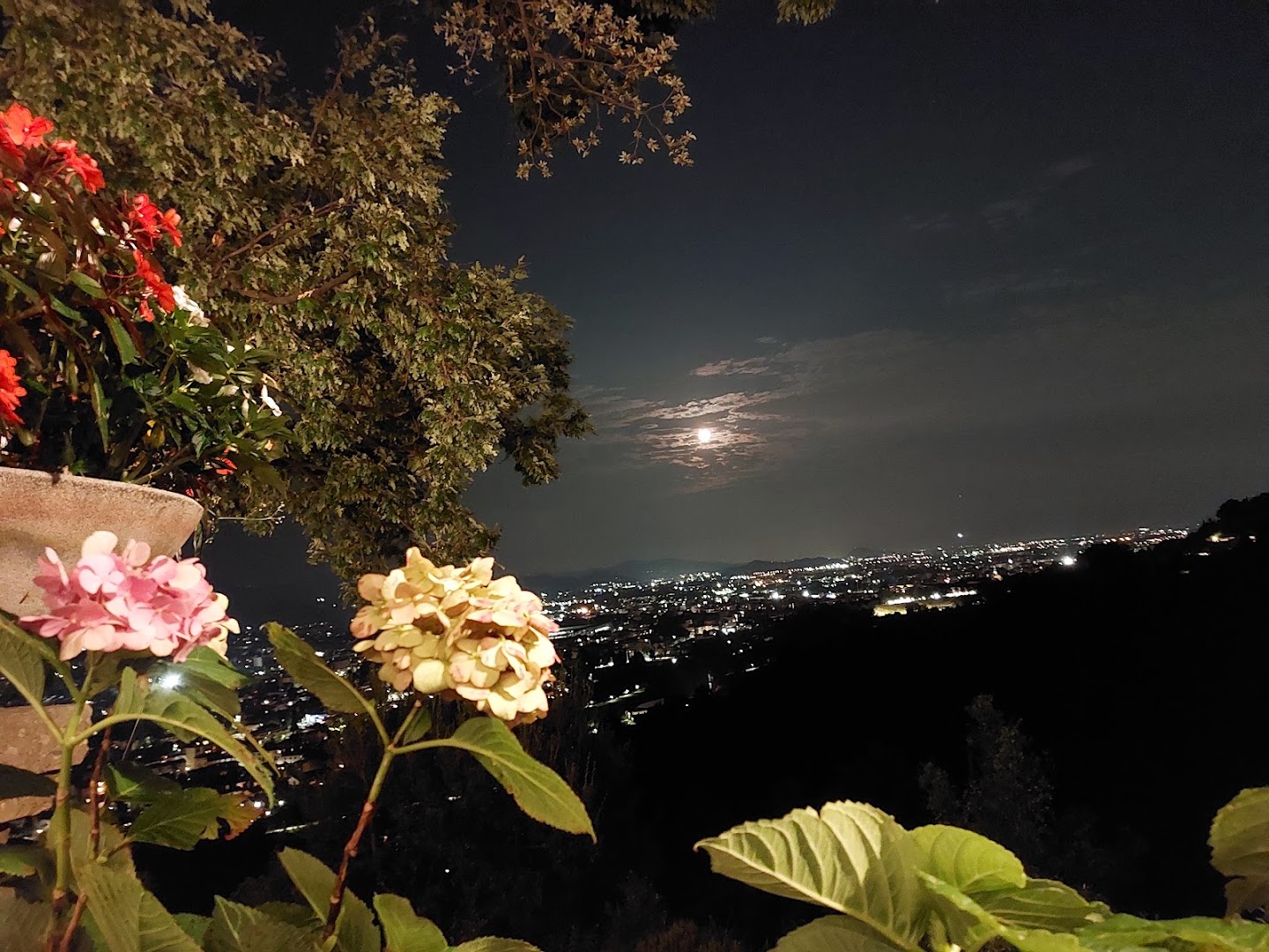 Ristorante Il Pianone, Bergamo