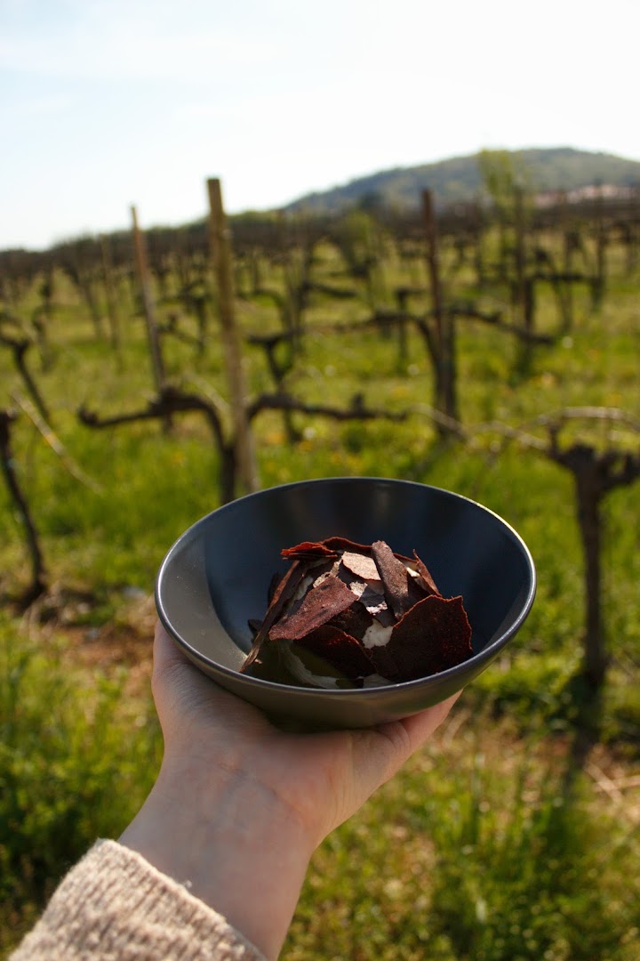 Ristorante Il Podere di Angoris, Cormons