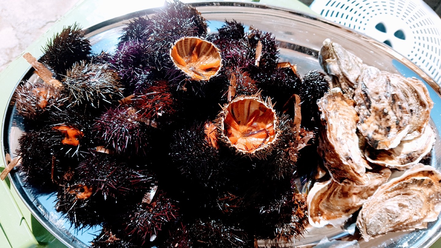 Ristorante Il Trovatore
