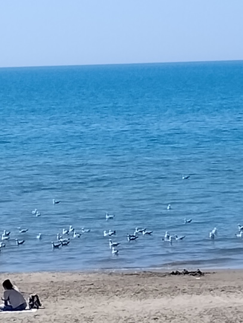 Ristorante La Perla Nera