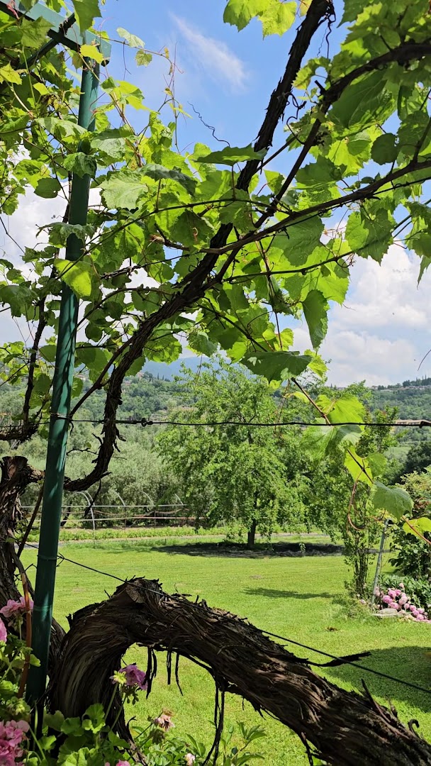 Ristorante "Le Rasole", Garda