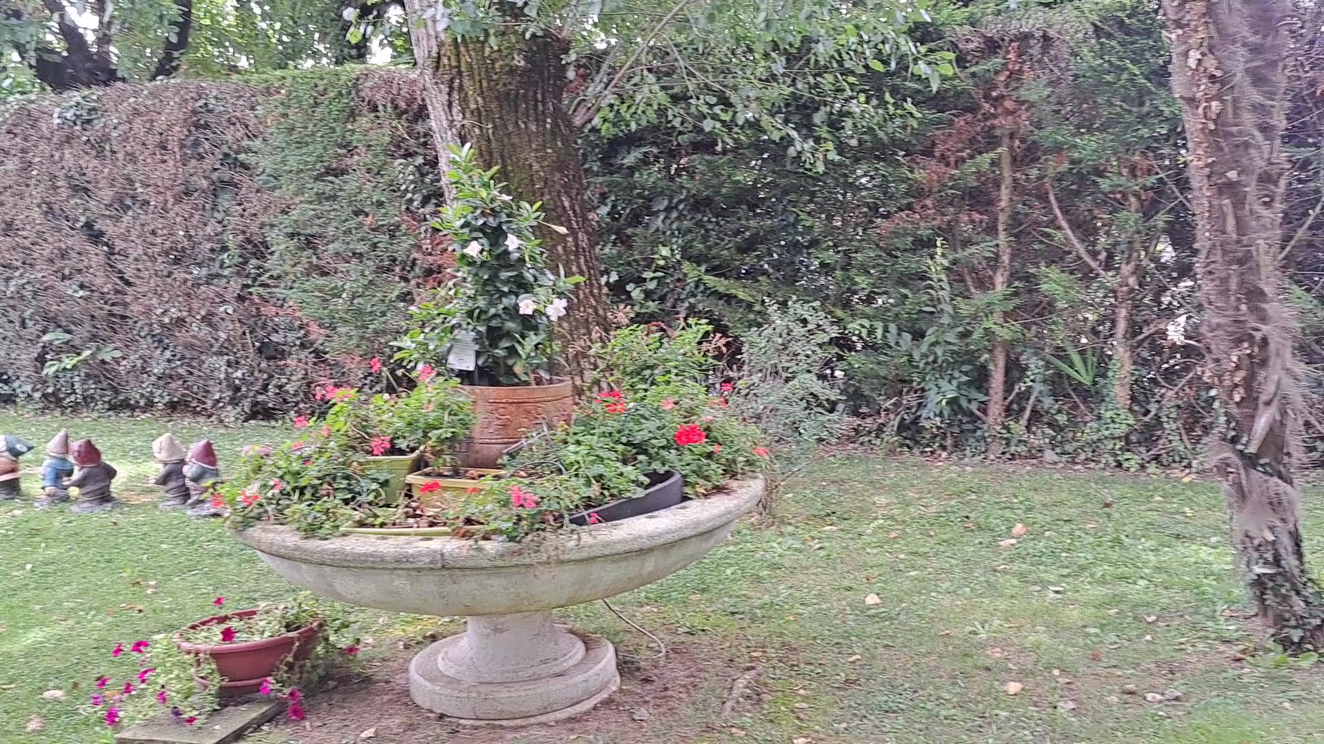 Ristorante Locanda Glorioso Piave, Maserada sul Piave