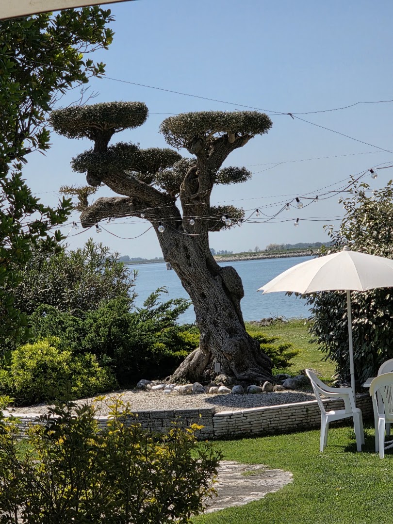Ristorante Marina 70