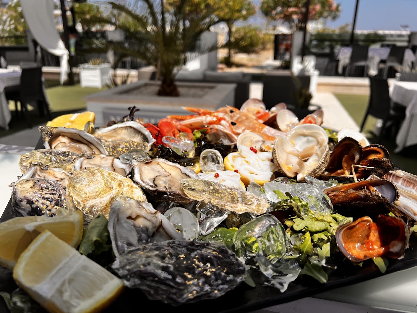 RISTORANTE NAUTILUS pesce fresco e crudi di mare