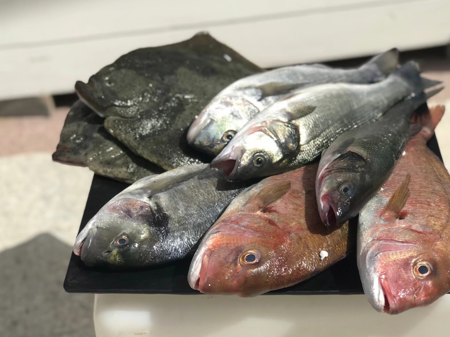 RISTORANTE NAUTILUS pesce fresco e crudi di mare