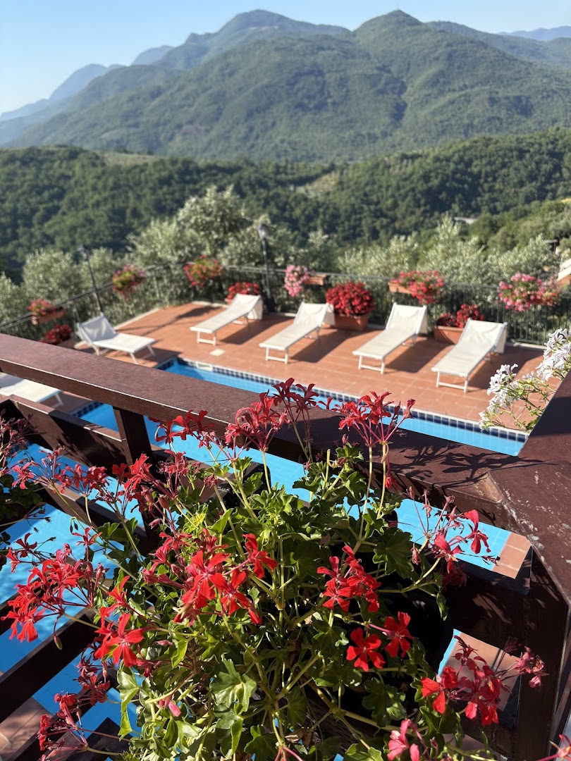 Ristorante Pensione L'Oliveto