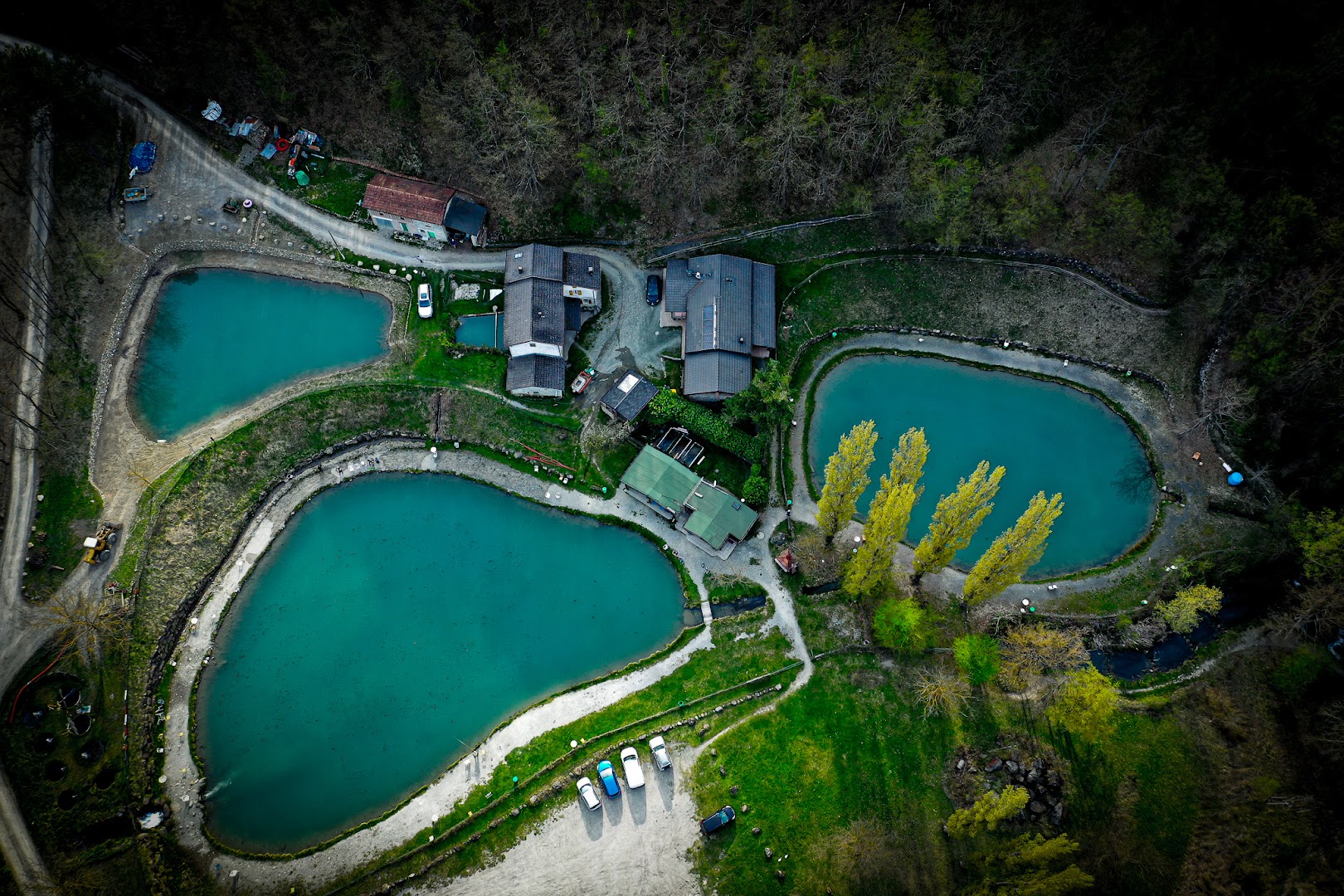 Ristorante - Pesca Sportiva "Il Mulino"