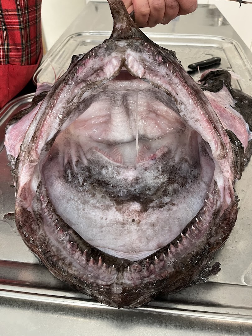 Ristorante pesce Termoli | il Nobil Desco dello Squaloblu