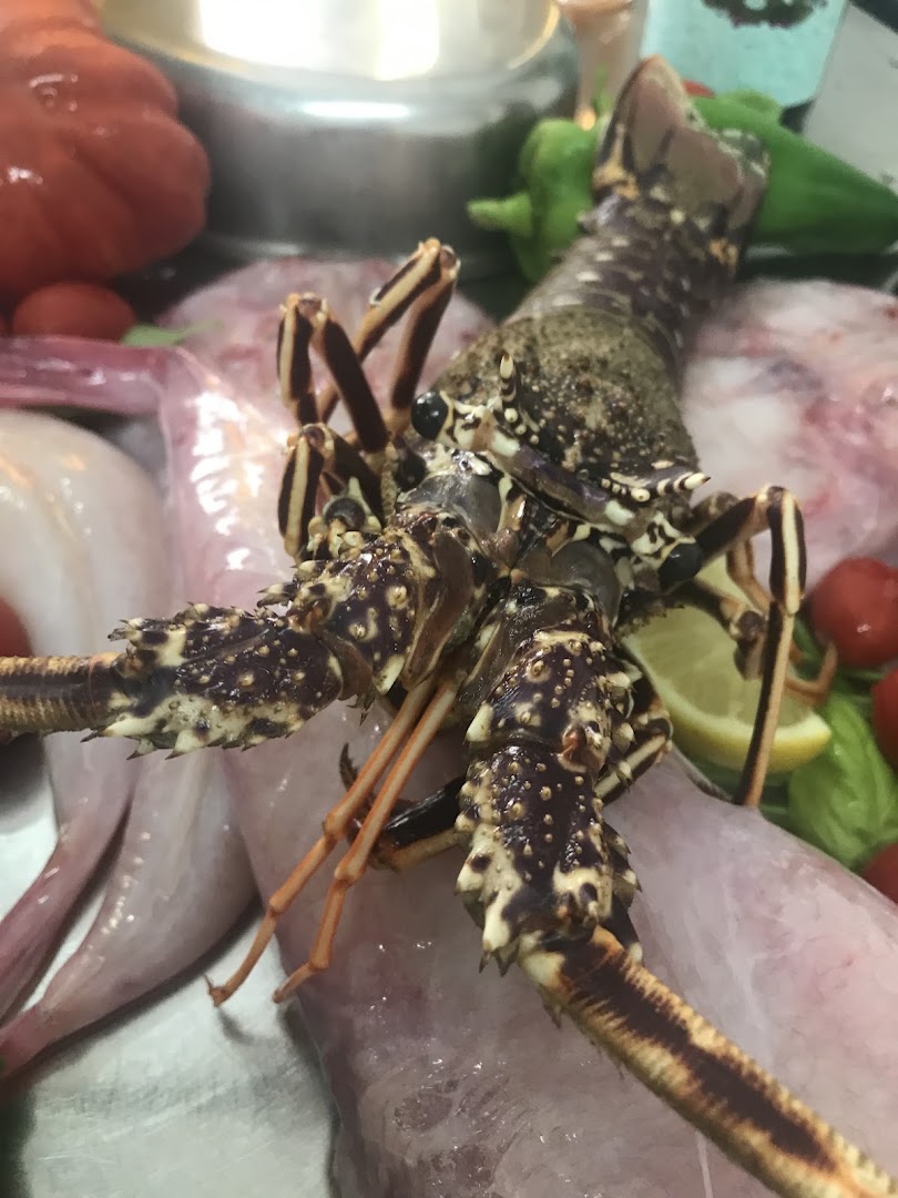 Ristorante pesce Termoli | il Nobil Desco dello Squaloblu