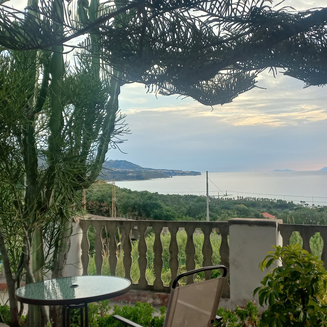 Ristorante Pizzeria Affittacamere "San Carlo"