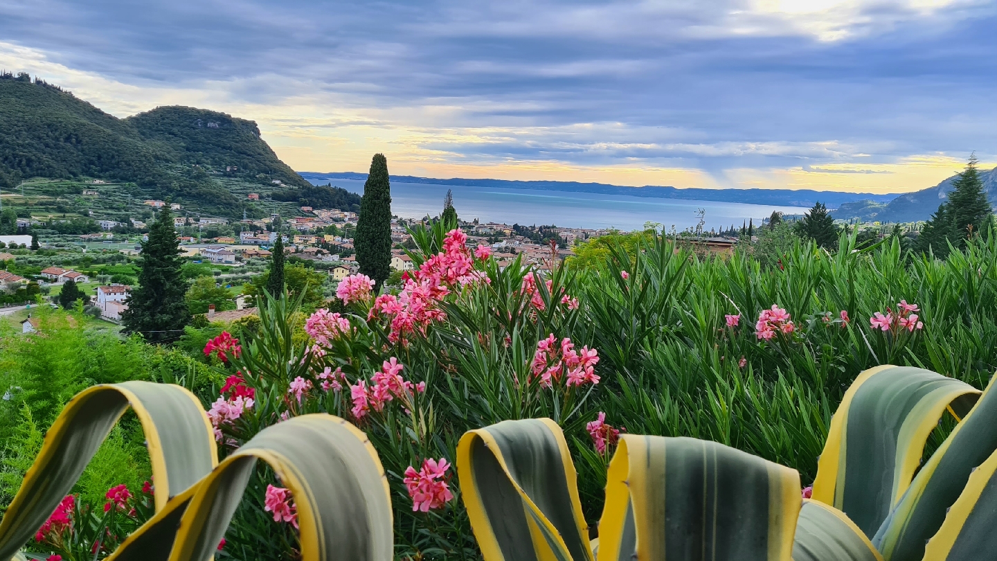 Ristorante Pizzeria Bar Miralago, Costermano sul Garda