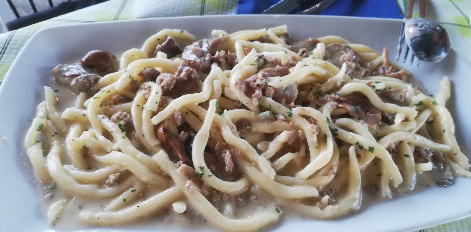 Ristorante Pizzeria Brusarul