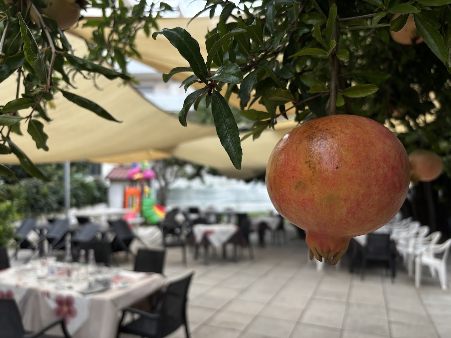 Ristorante Pizzeria Del Corso