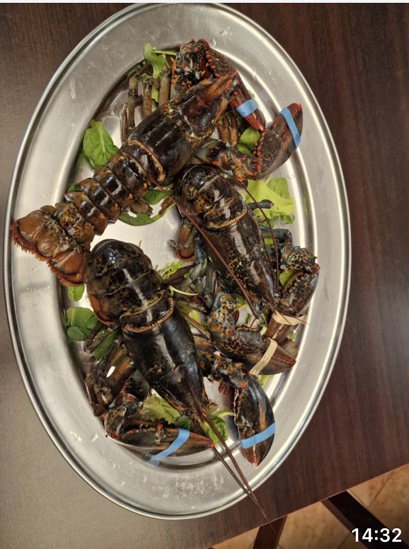 Ristorante Pizzeria Dolfin