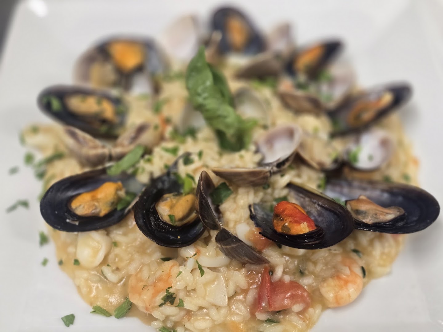 Ristorante pizzeria grill Il Pescatore Milano