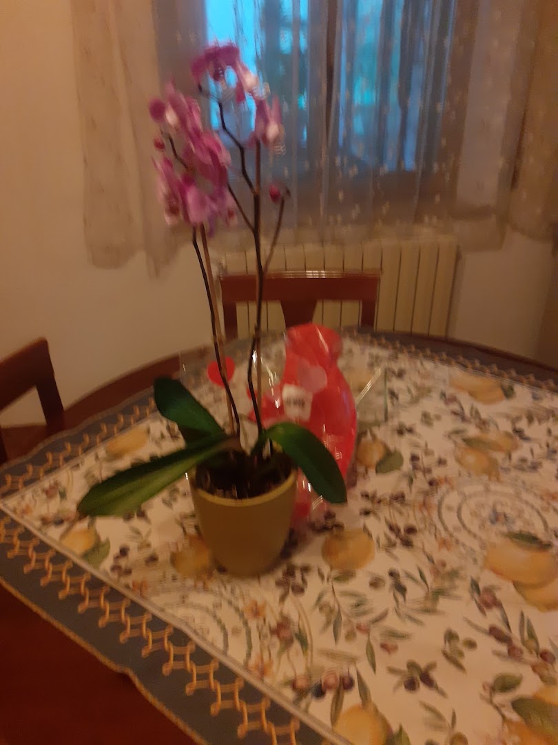 Ristorante Pizzeria "Il Poggio" Rionero Sannitico
