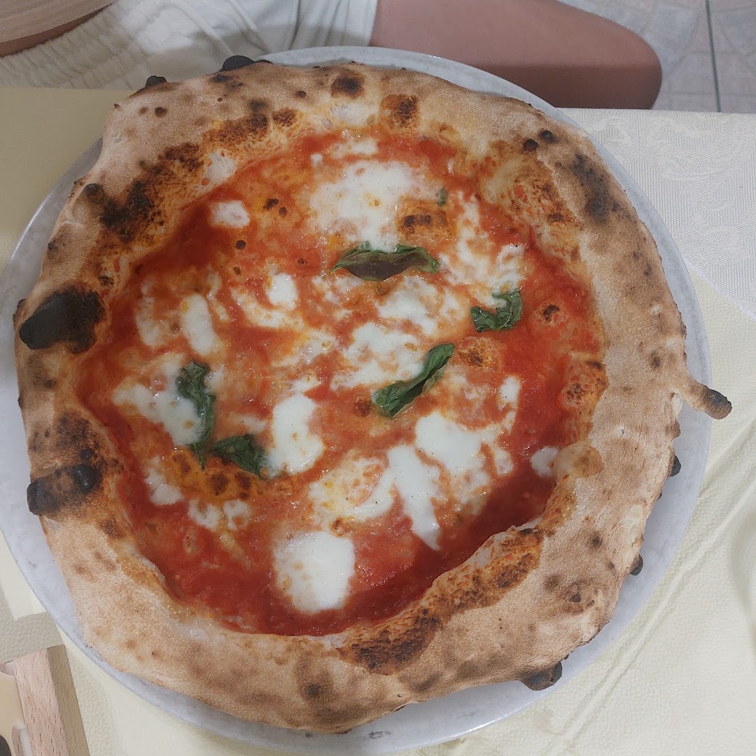Ristorante pizzeria "Il tapiro"