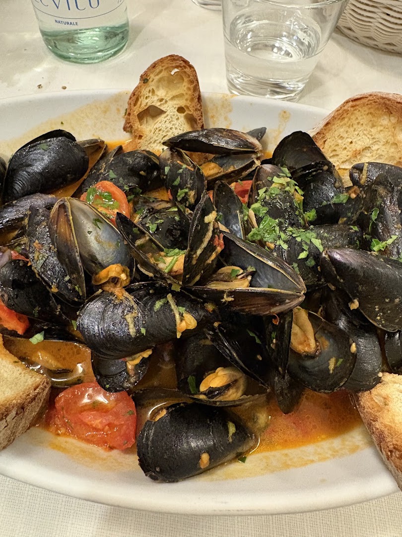 Ristorante Pizzeria La Conchiglia