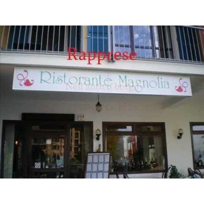 Ristorante Pizzeria Magnolia
