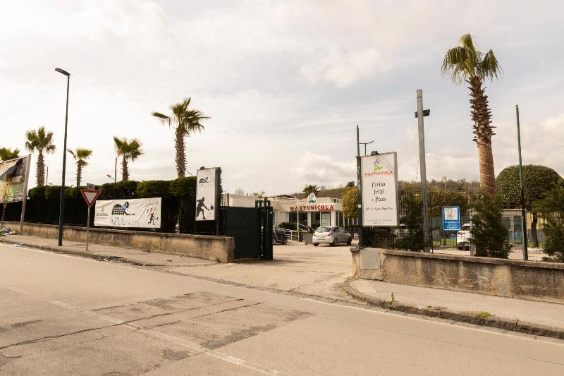 Ristorante Pizzeria Mastunicola