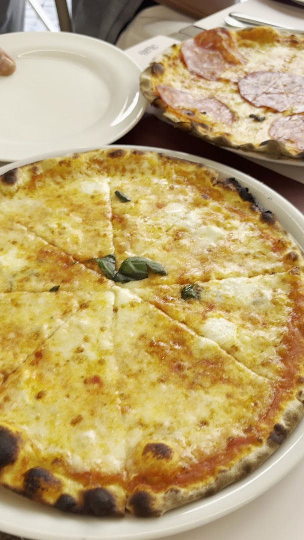 Ristorante Pizzeria Michelangelo di Artan Cila